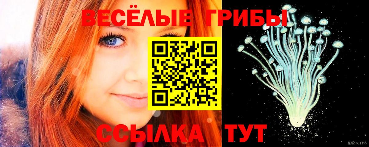 что такое   Галлюциногенные грибы прущие грибы  Вход с VPN  Балтийск 